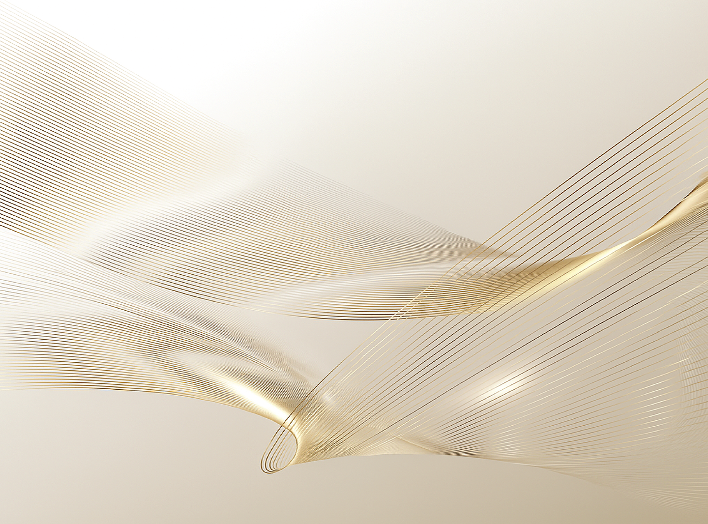 img_6969adc455b4b6.18767107